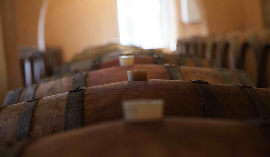 Fattoria Poggio Capponi Bauernhof Montespertoli