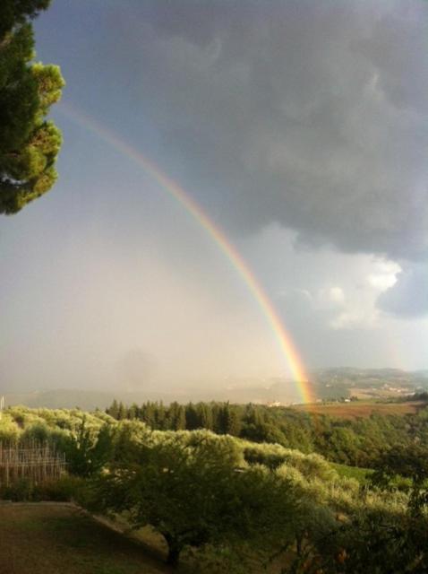 Fattoria Poggio Capponi Farm stay Montespertoli