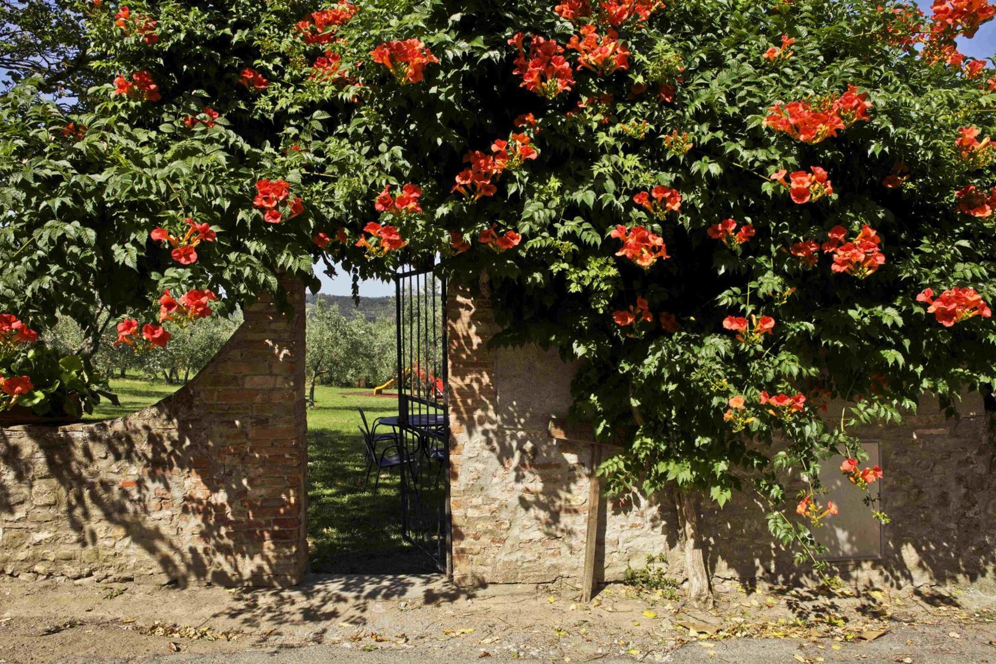Fattoria Poggio Capponi Montespertoli