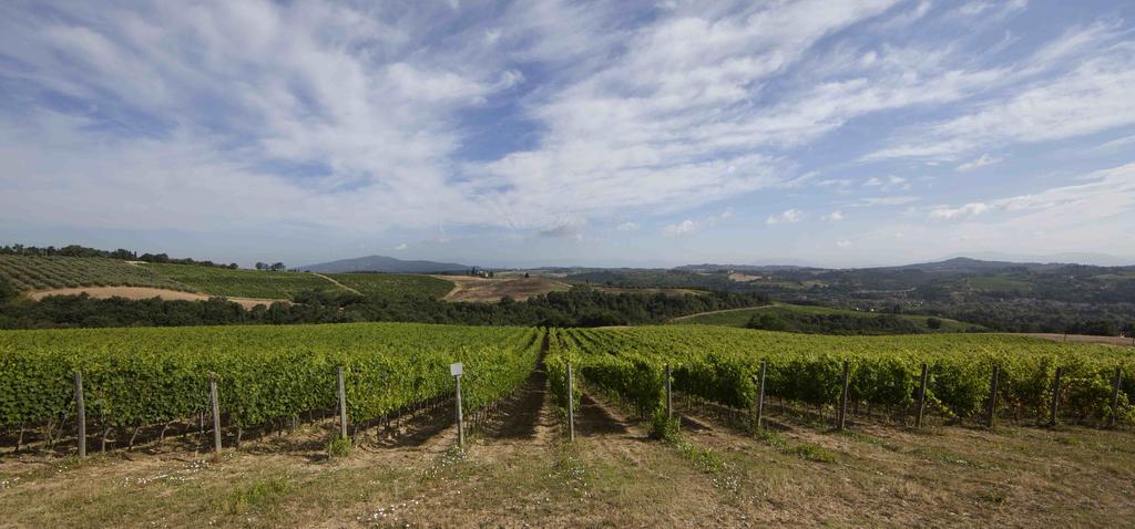 Fattoria Poggio Capponi