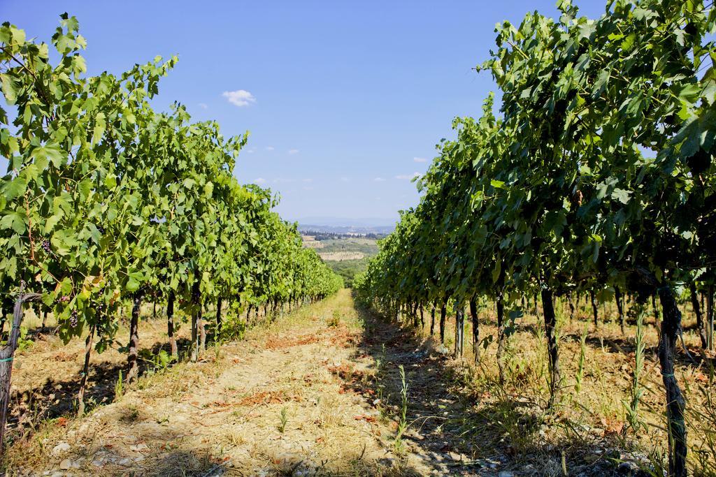 Fattoria Poggio Capponi Farm stay *