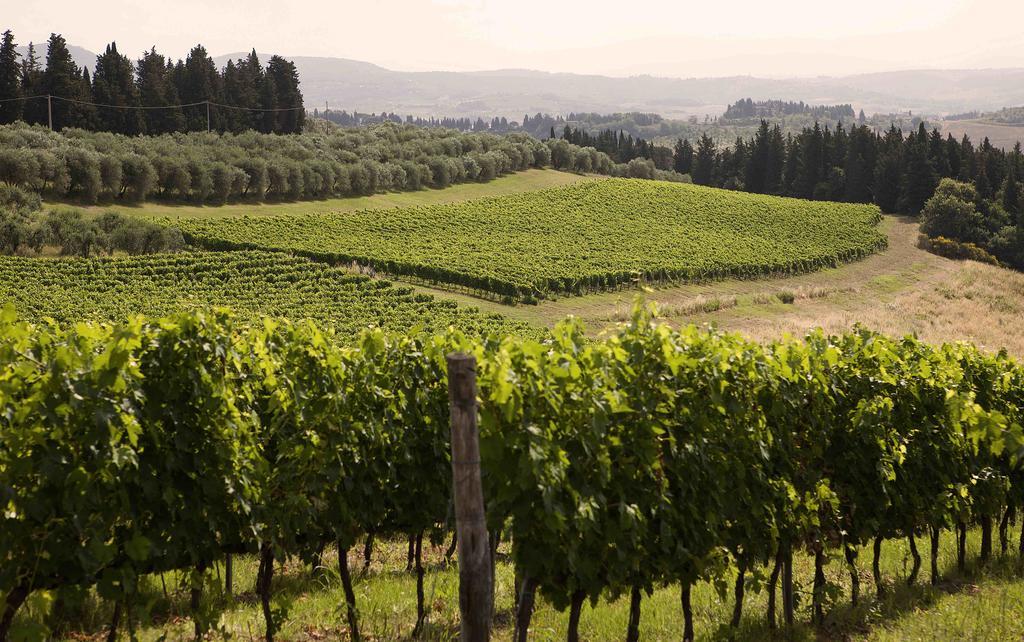 Fattoria Poggio Capponi * Montespertoli