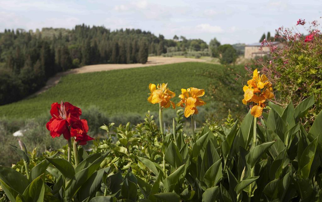 Farm stay Fattoria Poggio Capponi Montespertoli