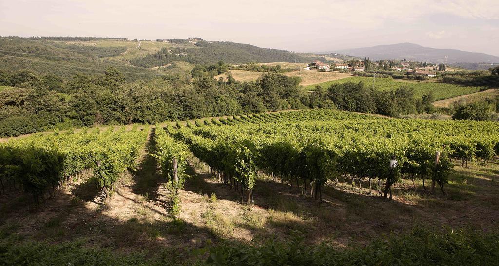Fattoria Poggio Capponi Farm stay *